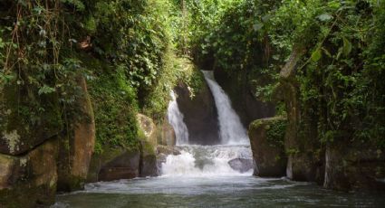 Pronóstico del clima en Coatepec para este sábado 18 de abril