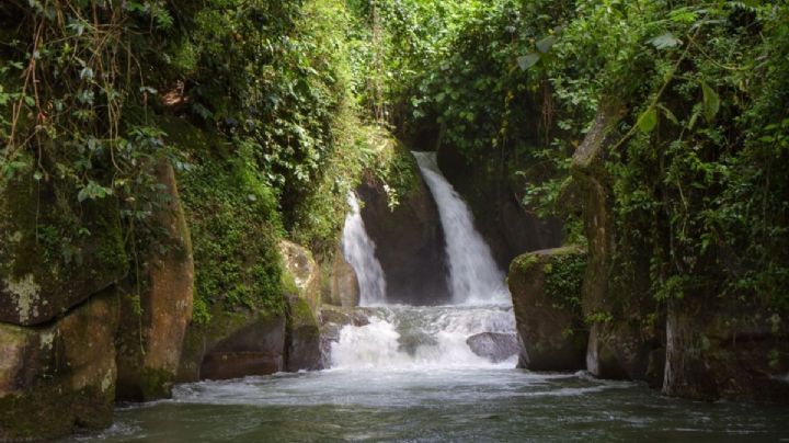 Clima y pronóstico en Coatepec para este viernes 17 de abril
