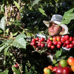 Pronóstico del clima en Coatepec para este jueves 16 de julio