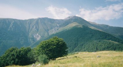 Clima y pronóstico para Real de Catorce este domingo 19 de abril