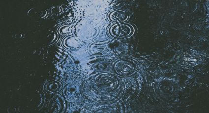 Pronóstico del clima en Tlaquepaque para este domingo 19 de abril