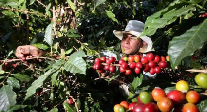 Clima y pronóstico en Coatepec para el martes 21 de abril