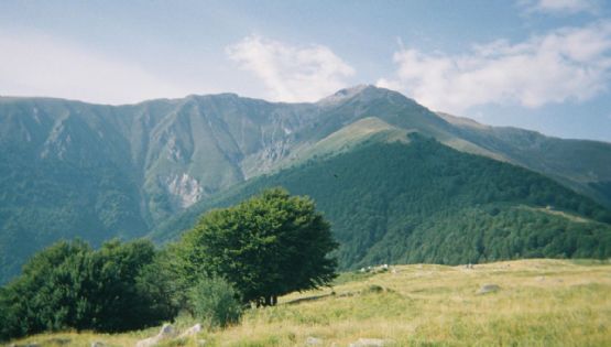 Clima y pronóstico para Real de Catorce este viernes 5 de junio