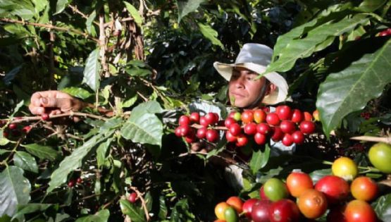 Clima y pronóstico en Coatepec para este viernes 5 de junio