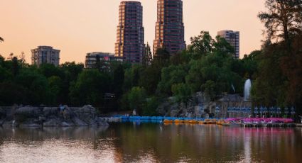 Festival del Bosque de Chapultepec: Estas son las actividades GRATIS que puedes disfrutar en CDMX