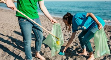 Trabajan para rescatar las playas del Golfo de México: así avanzan las labores de limpieza y monitoreo