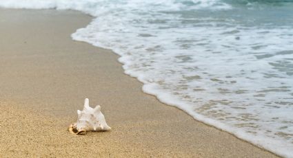 ¿Cómo cuidar las playas mexicanas si vas de vacaciones con tu familia?