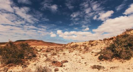 Pronóstico del clima en Comala para este lunes 20 de abril
