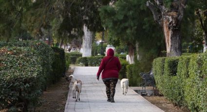 Clima y pronóstico para Parras, Coahuila este jueves 23 de abril