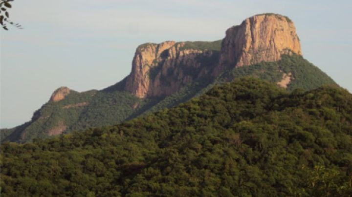 Clima y pronóstico detallado para Álamos este jueves 20 de agosto
