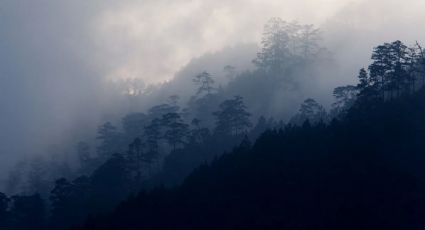 Clima y pronóstico para Real del Monte el viernes 1 de mayo