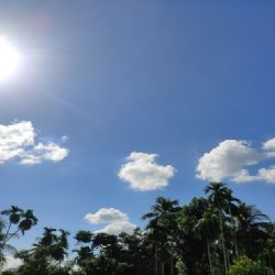 Pronóstico del clima en Paracho para este sábado 25 de abril