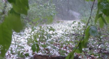 ¿Es peligroso salir mientras cae granizo? Sigue estas recomendaciones al conducir