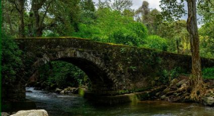 Clima y pronóstico para Coatepec este viernes 24 de abril