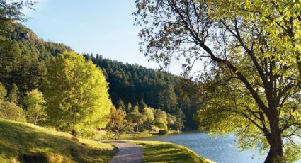 Pronóstico del clima en Mineral del Chico para este miércoles 29 de abril