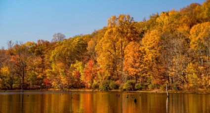 El Pueblo Mágico que parece Canadá con un bosque de maple inigualable