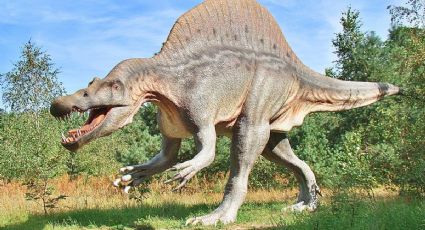 El Pueblo Mágico de Veracruz con un parque de dinosaurios para ir el Día del Niño