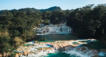 ¿Cómo llegar en autobús al paraíso de cascadas y agua turquesa que debes conocer en Chiapas?