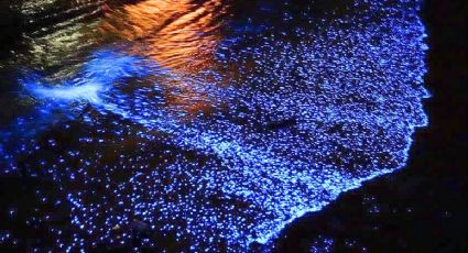 Las playas que brillan de noche más espectaculares de México y los mejores meses para visitarlas