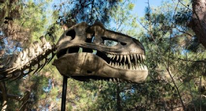 ¿Cómo llegar desde la CDMX en autobús al nuevo museo de dinosaurios en Nuevo León?