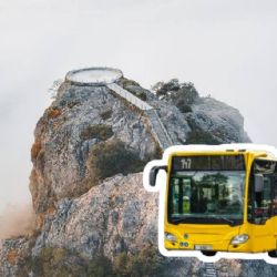 ¿Cuánto cuesta ir en autobús al Pueblo Mágico de Hidalgo con un mirador en medio del bosque?