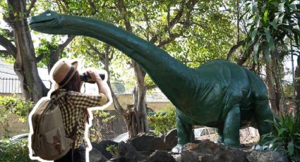Así puedes visitar gratis el Parque de Dinosaurios en Jiutepec: abren registro