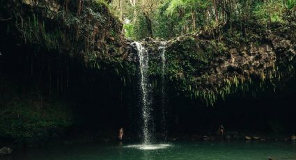 Estos son los 3 cenotes más FAMOSOS de México para visitar