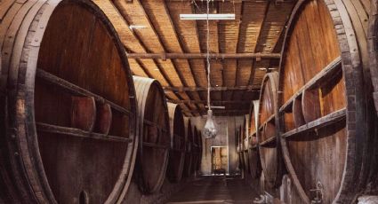 Conoce el Pueblo Mágico que alberga la bodega de vino más antigua de América