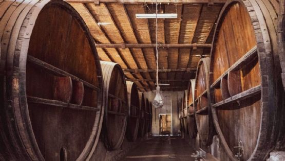 Conoce el Pueblo Mágico que alberga la bodega de vino más antigua de América