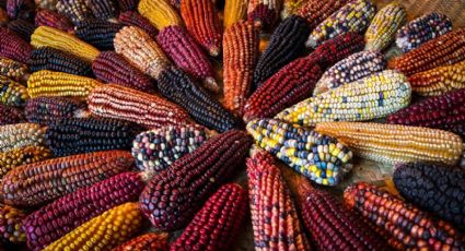 ¿Cómo llegar al Pueblo Mágico cerca de la CDMX para probar tortillas de colores y tamales de maíz azul?