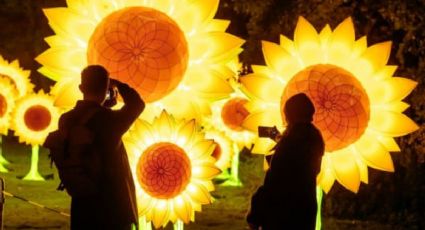 ¿Cómo llegar desde CDMX al Festival Glow 2026 en Puebla y cuál será su recorrido?