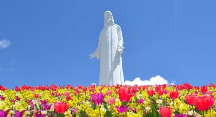 ¿Cómo llegar a Tenancingo desde la CDMX para ir al Festival de las Flores 2026 en el Edomex?