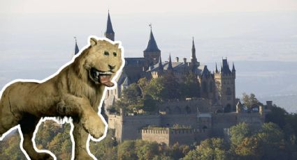 Le pidieron un león y entregó esto: La atracción más divertida (y fallida) de Suecia