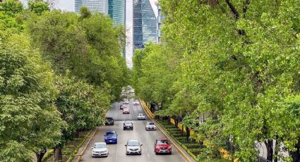Hoy NO circula 11 de mayo 2026: ¿Qué autos descansan en CDMX y Edomex?