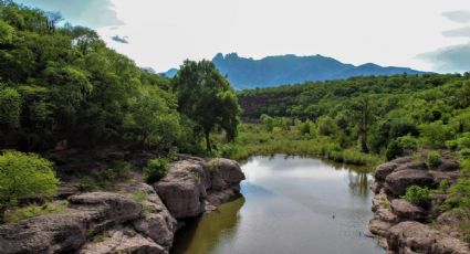 Reporte del clima y pronóstico para Álamos este viernes 5 de junio