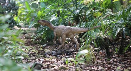 El parque de dinosaurios oculto entre la selva de Chiapas para una aventura jurásica