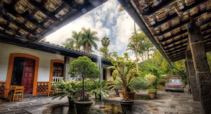 Clima y pronóstico para Coatepec este viernes 15 de mayo