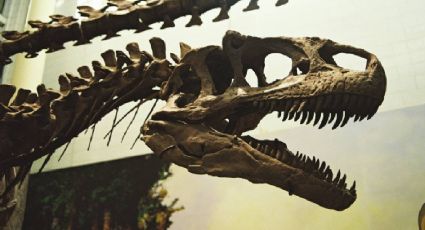 Nagatitan: el enorme dinosaurio hallado en Tailandia que sorprende a científicos