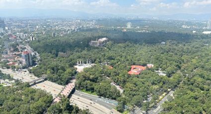 Las mejores experiencias para conocer  el Bosque de Chapultepec en tu primera visita
