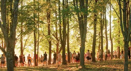 Naturaleza y Jazz GRATIS hoy domingo en el Bosque de Chapultepec de la CDMX