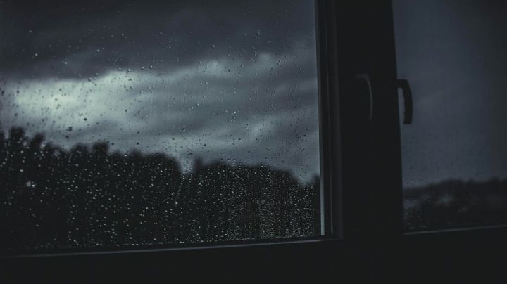 Clima y pronóstico en Bustamante para este jueves 7 de mayo