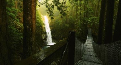 El bosque mágico de Puebla para caminar por un puente colgante entre cascadas y manantiales