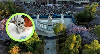 Zócalo de las Ciencias llega a la CDMX con actividades gratis