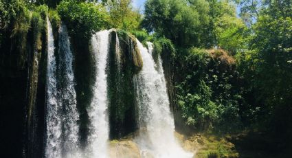 ¿Cómo llegar al bosque mágico de Puebla para caminar por un puente colgante entre cascadas?