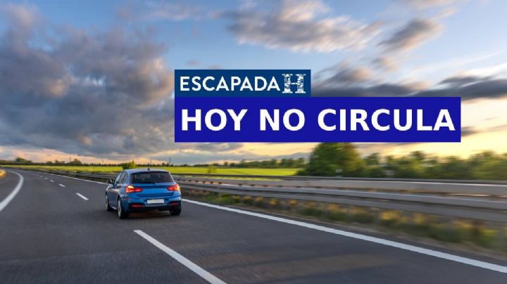Hoy No Circula domingo 24 de mayo 2026: los autos que sí pueden salir en CDMX y Edomex