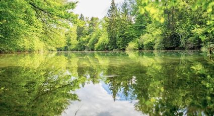 La alberca natural de aguas termales y pozas tranquilas para un fin de semana