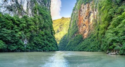 AIFA anuncia nueva ruta de vuelos a Tuxtla para disfrutar los encantos de Chiapas