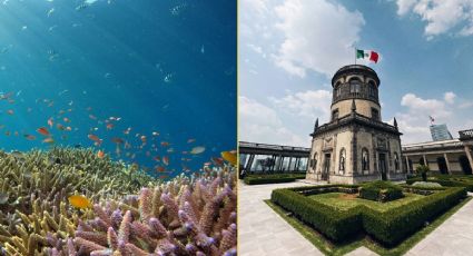 Festival Día Mundial de los Océanos 2026 llega a Chapultepec con actividades gratuitas