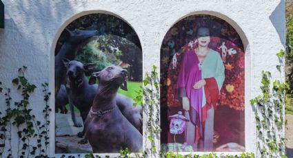 ¿Cómo llegar al Museo Dolores Olmedo en transporte público para disfrutar su reapertura?