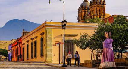 ¿Cuándo inicia la temporada de chicatanas en Oaxaca y qué lugares son los más recomendados?